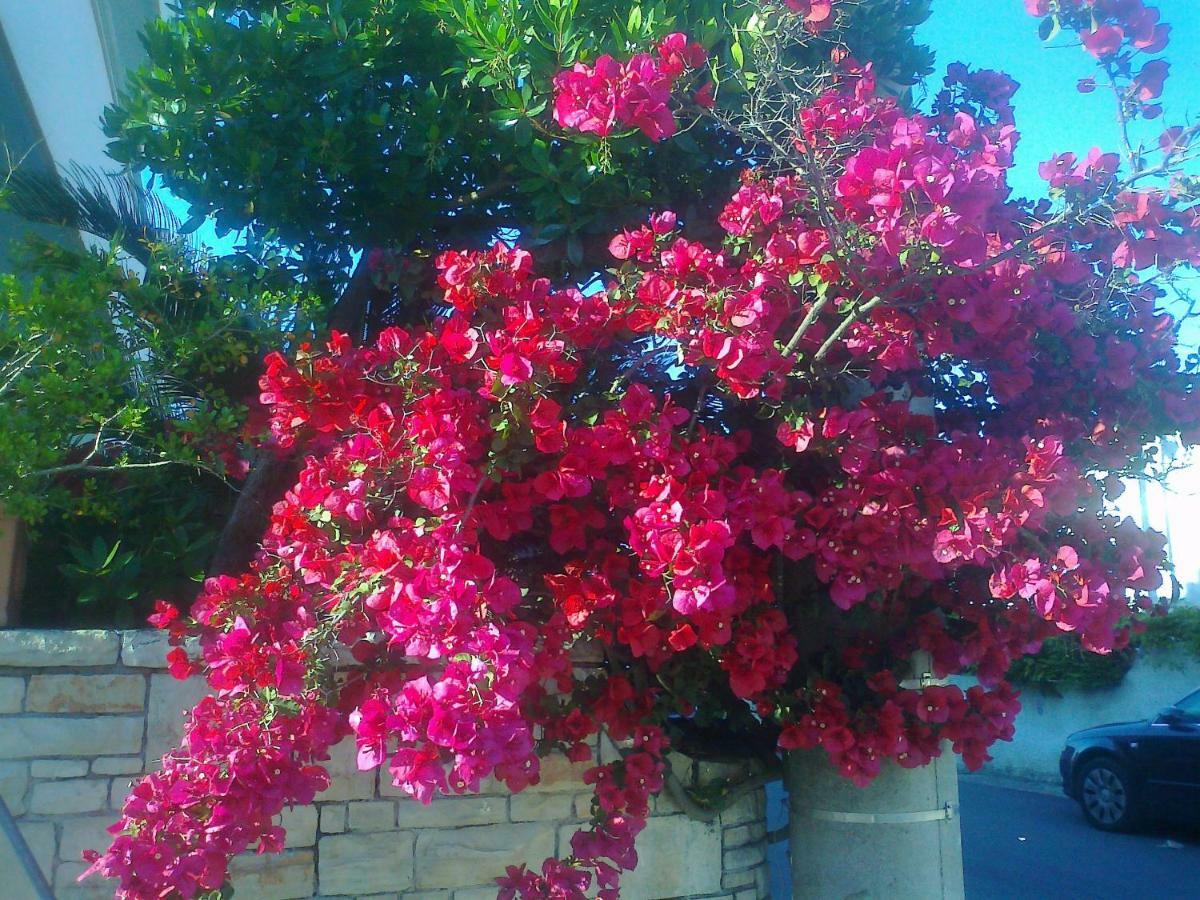 Bed & Breakfast Acquamarina Castro  Exterior foto